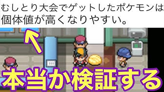 虫取り大会 Youtube