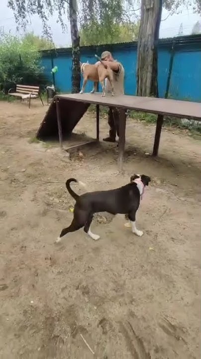 youtube.com