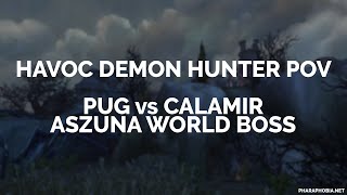 Legion Beta L Pug Vs. World Boss Calamir