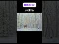 海外で大バズりした観察力テスト #イラスト #shorts