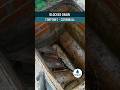 Block Drain in Torpoint Cornwall #shorts