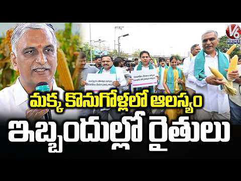 Farmers Facing Difficulties Due To Delay Of Establishment Of Corn Purchasing Centers: Harish Rao| V6 - V6NEWSTELUGU