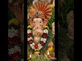 Sampoorna ganpati Bappa morya 🙏🏻🪔🙏🏻🌱💯# green world