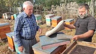 видео: Измайлов.Подводим итоги сезона на пасеке у Паши. картинка: Измайлов.Подводим итоги сезона на пасеке у Паши.