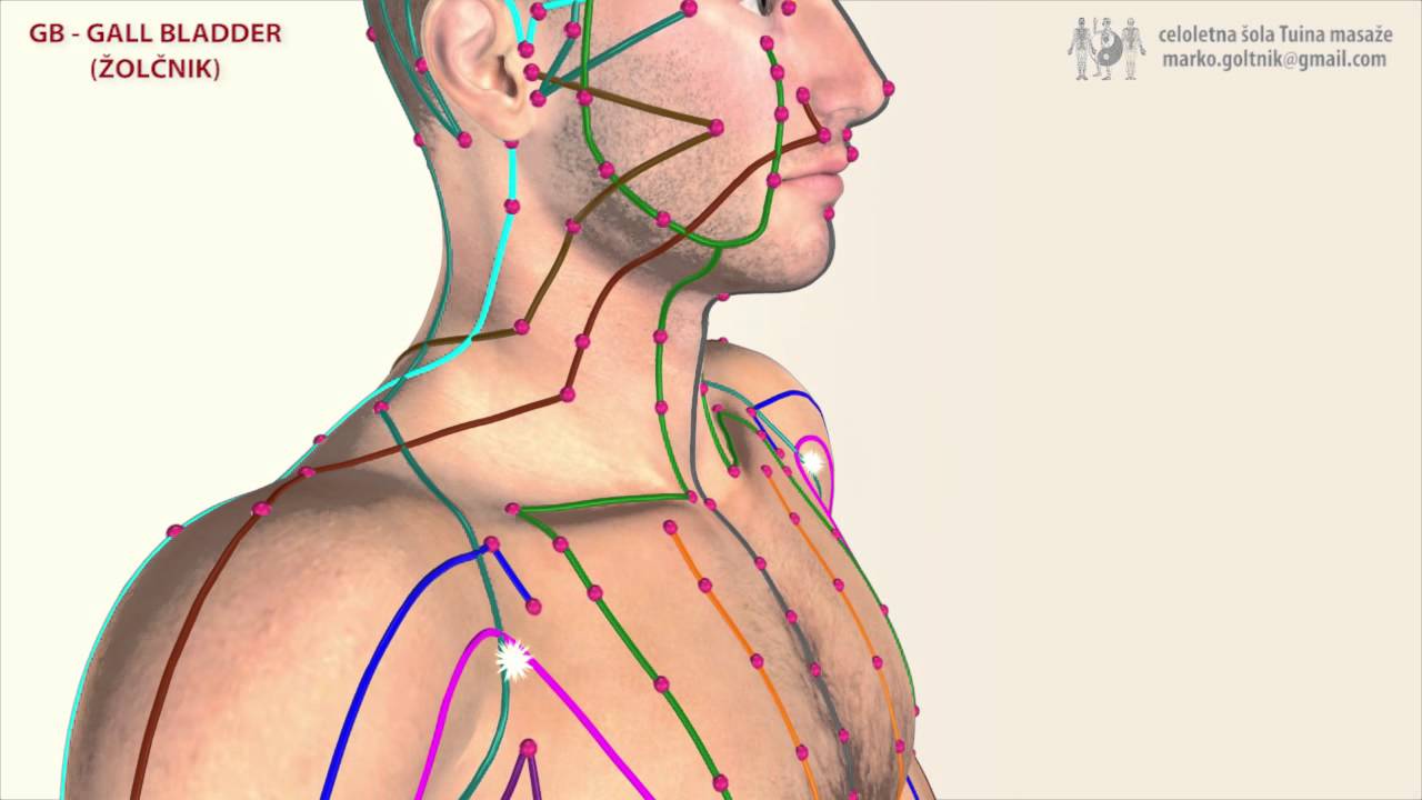 Gallbladder Meridian Chart