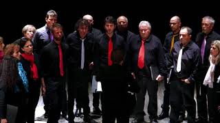 VOCiNCORO 2017 / Corale Il Gigante "Il bel pecoraio" (elab. Simone Ivardi Ganapini)