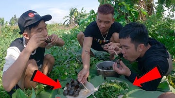 PHD | Sinh Tồn Tìm Thức Ăn Để Tồn Tại | Challenge Survival