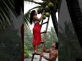 #viralvideo #saree #love #rain