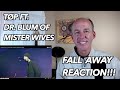 PSYCHOTHERAPIST REACTS to Twenty One Pilots- Fall Away (ft. Dr. Blum of Mister Wives)