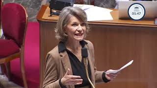 23/10/2024 QAG - Manque d'accompagnement d'élèves en situation d'handicap ( AESH) (Education) - C...