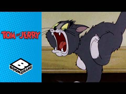 Tom & Jerry vs Spike | Tom & Jerry | Boomerang UK