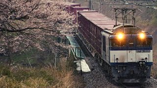 JR貨物EF64-1036 中央西線貨物列車