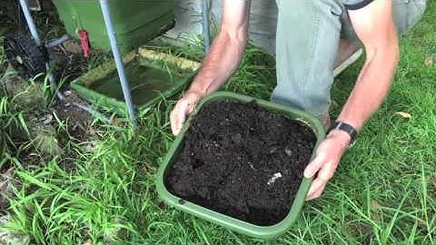 Hungry bin harvest 01