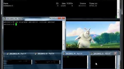 Livemigration on a XEN-HA System - Playing a Video in a RDP Session at a Windows 2008 R2 VM