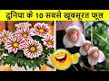 Most Beautiful and Strange Flowers of the World | दुनिया के 10 सबसे खूबसूरत फूल