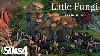Little Fungi The Sims4 Speed Build|| No CC