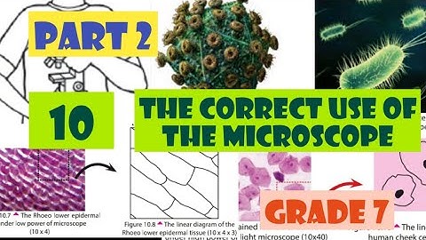 The correct use of the microscope| Grade 7|Science|English medium| part 2