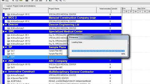 How to make, merge project reflections and its use in primavera p6