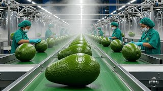 Inside a Factory: That Turns Fresh Avocados Into Frozen Perfection (Full Process)