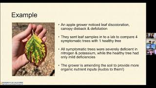 Apple Orchard Health
