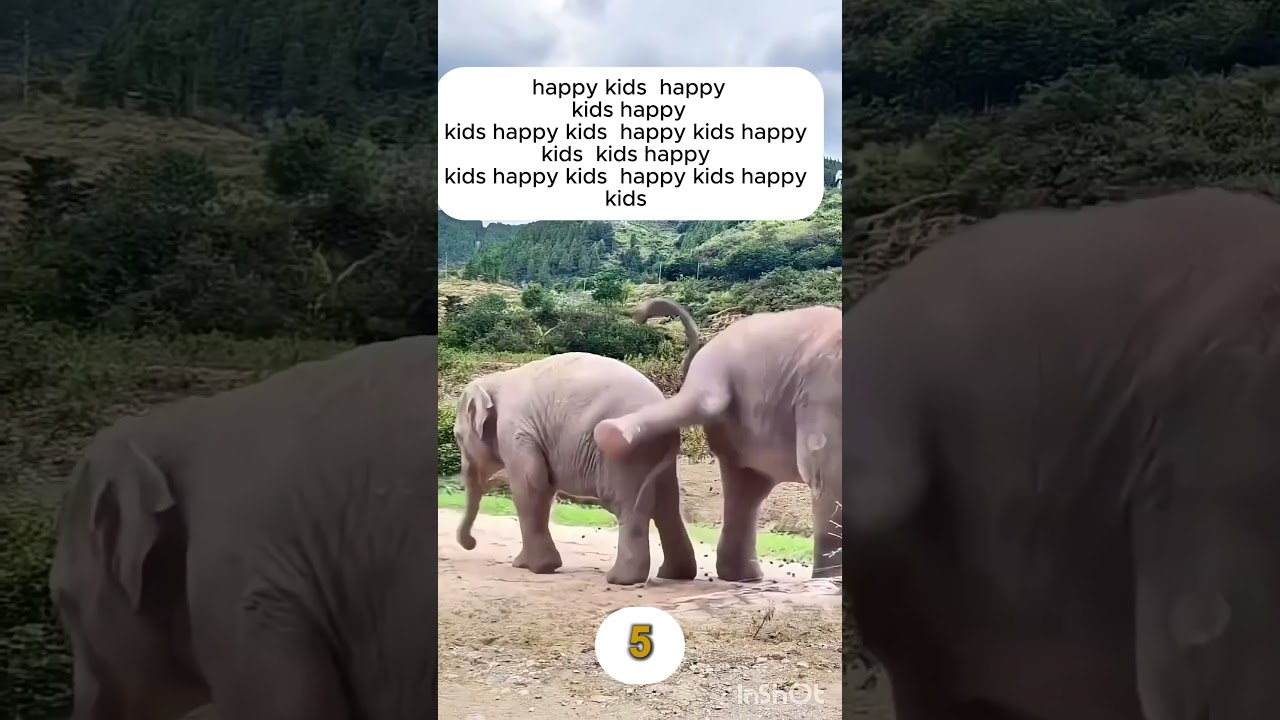 Baby Elephant #3 - The Funniest Baby in My TOP 10 Funniest Moments #animalshorts #elephant