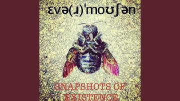 Hidden in Plain Sight