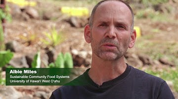 Albie Miles on Sustainable Food Systems