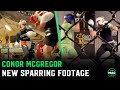 Conor mcgregor new sparring footage from 2024