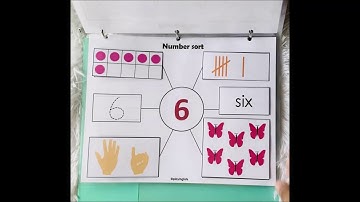 Counting Practice | Learning Binder | Busy book | Busy Binder | Toddlers & Preschoolers