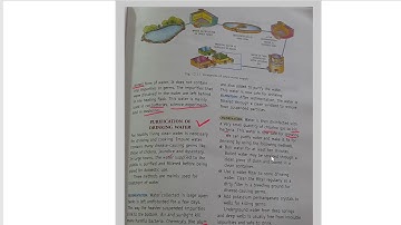 CLASS 5 SCIENCE CHAPTER 12 OUR LIFE SUPPORTS PART 2