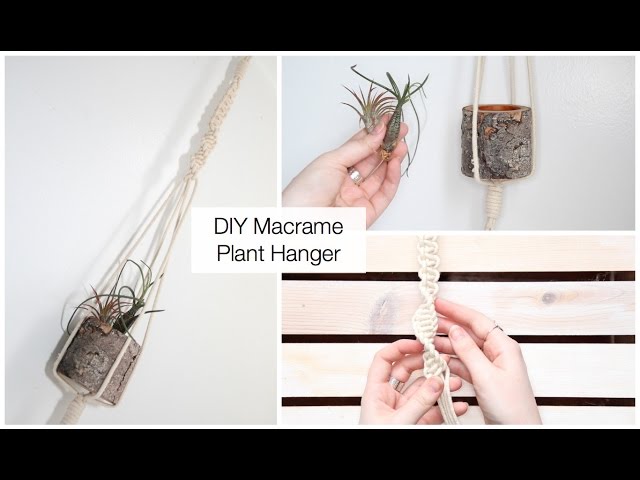 DIY Macramé Plant Hanger Kit Makes 3 By Aesthetic Creative