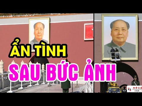 Video: Một là tốt, hai là tốt hơn: hai bức chân dung của Dan Mountford