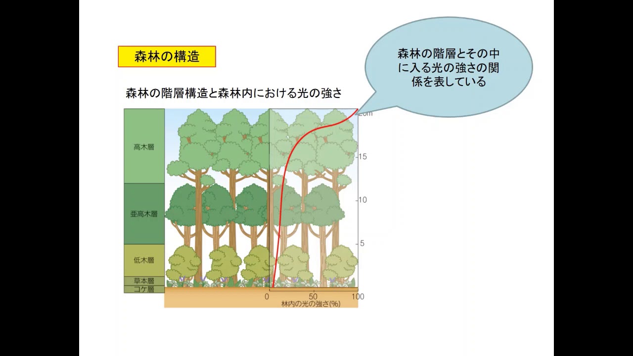 理科 ３年経営 久留米市立久留米商業高等学校
