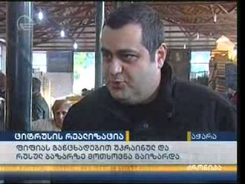 სოფლის მეურნეობის მინისტრმა ციტრუსის პავილიონი დაათვალიერა