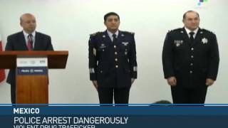 Mexico: Key Drug Trafficker Arrested
