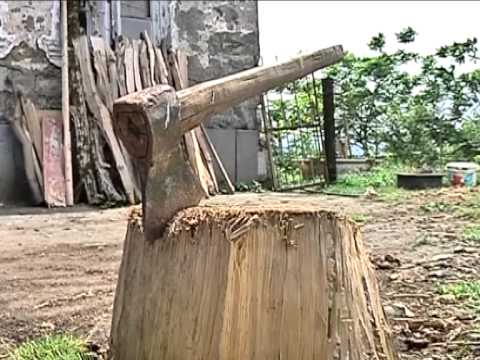 ქალებზე ძალადობა