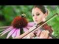 Heavenly Trio Instrumental 🎻 Piano, Cello & Violin Background Trio Music 🐝 Relaxing Bees 4k