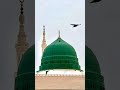 Quran القرآن الكريم Quranictranslation Egzonibrahimi Holybook اكسبلور Shortsviral Allbayan