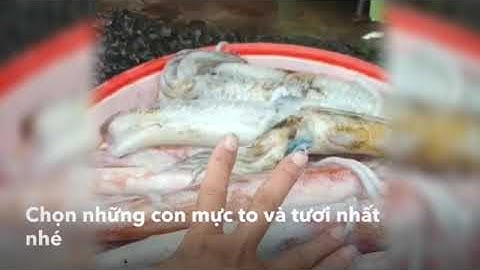 mực một nắng phú quốc.