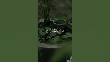 من تلاوات الشيخ محمد المحيسني