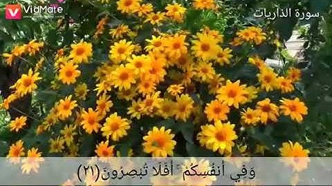 القران الكريم  وفي السماء رزقكم وما توعدون