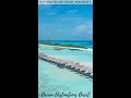 Lux South Ari Atoll Maldives | Best All Inclusive Resorts 2021 #SHORTS