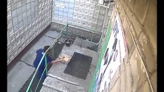 Куда деть ненужных котят? #2 Куда деть ненужных котят? #2