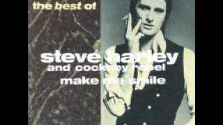 Steve Harley & Cockney Rebel - Best Years of Our Lives (live) chords
