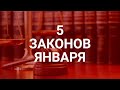 5 полезных законов января / СОЦНОВОСТИ