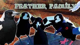 Australia realism | Feather Family [Roblox] 4K