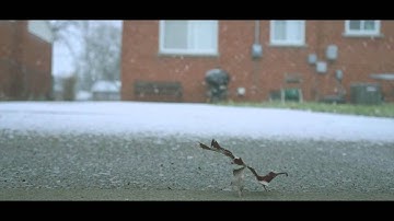 DIY camera slider under $10