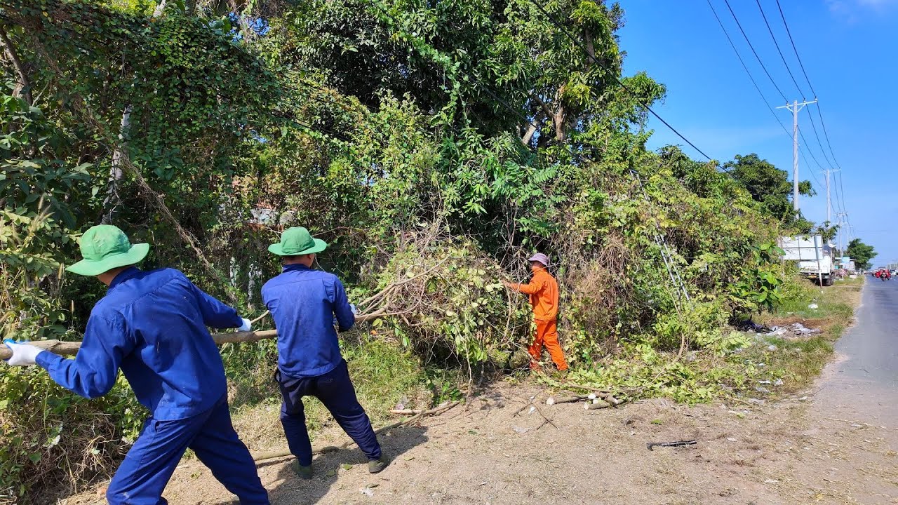 TIME LAPSE - 18 Minutes Rescuing an ABANDONED House BURIED Like a JUNGLE