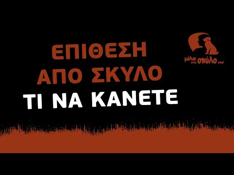 Βίντεο: Τι να κάνετε αν ένας σκύλος επιτεθεί