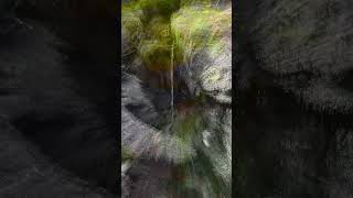 A dark, ambient instrumental to ground your mind 🌿 | HUMAN